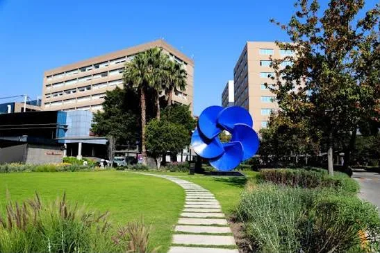 Imagen - hospital-medica-sur.webp